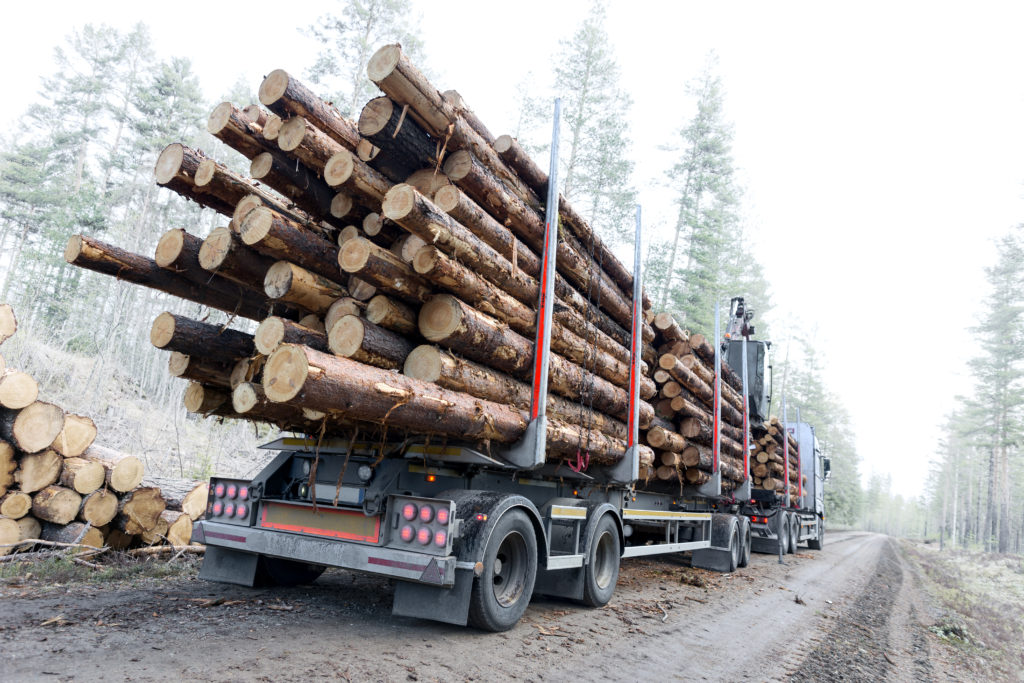 Forest Road Planning