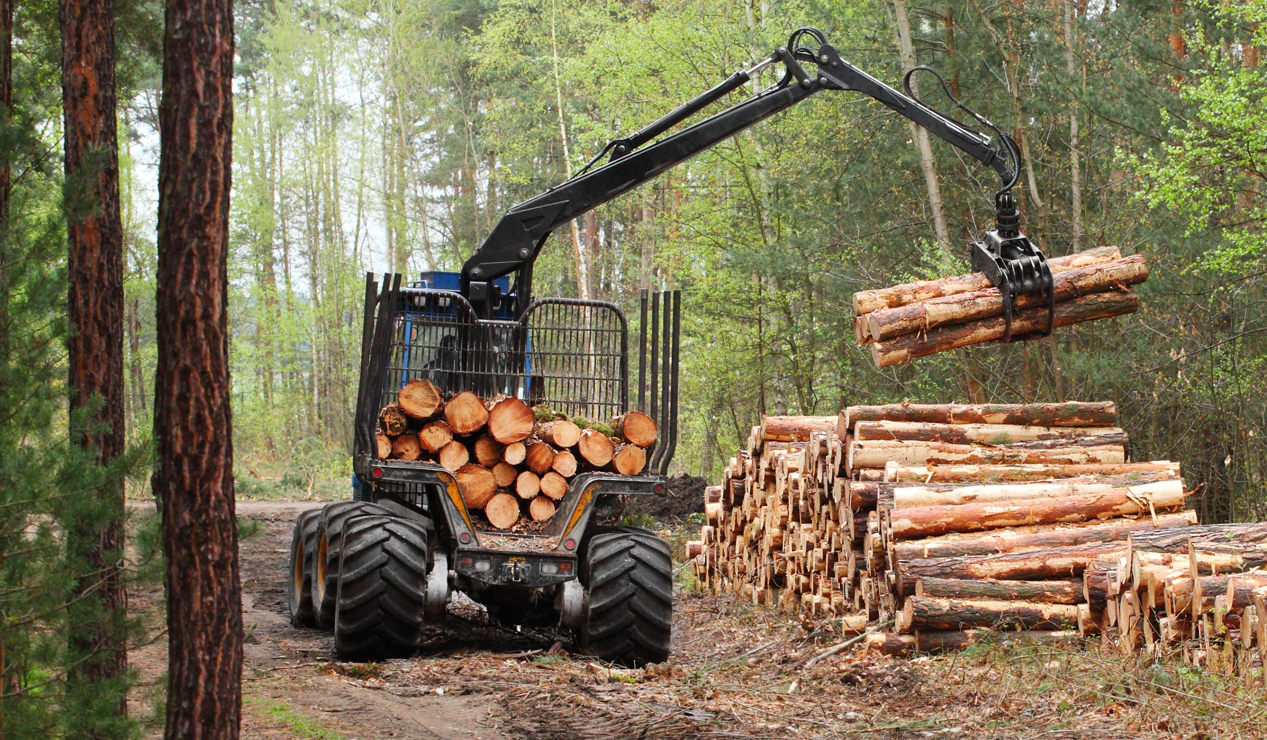 Remsoft-forestry planning and scheduling