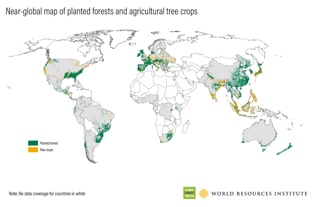 Near-global map of planted forests and agricultural tree crops
