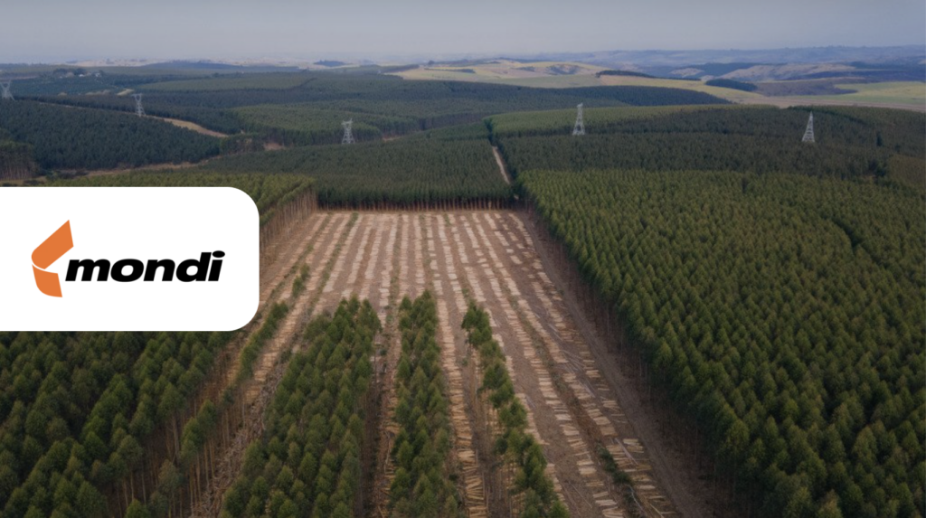 Mondi Group Customer Story