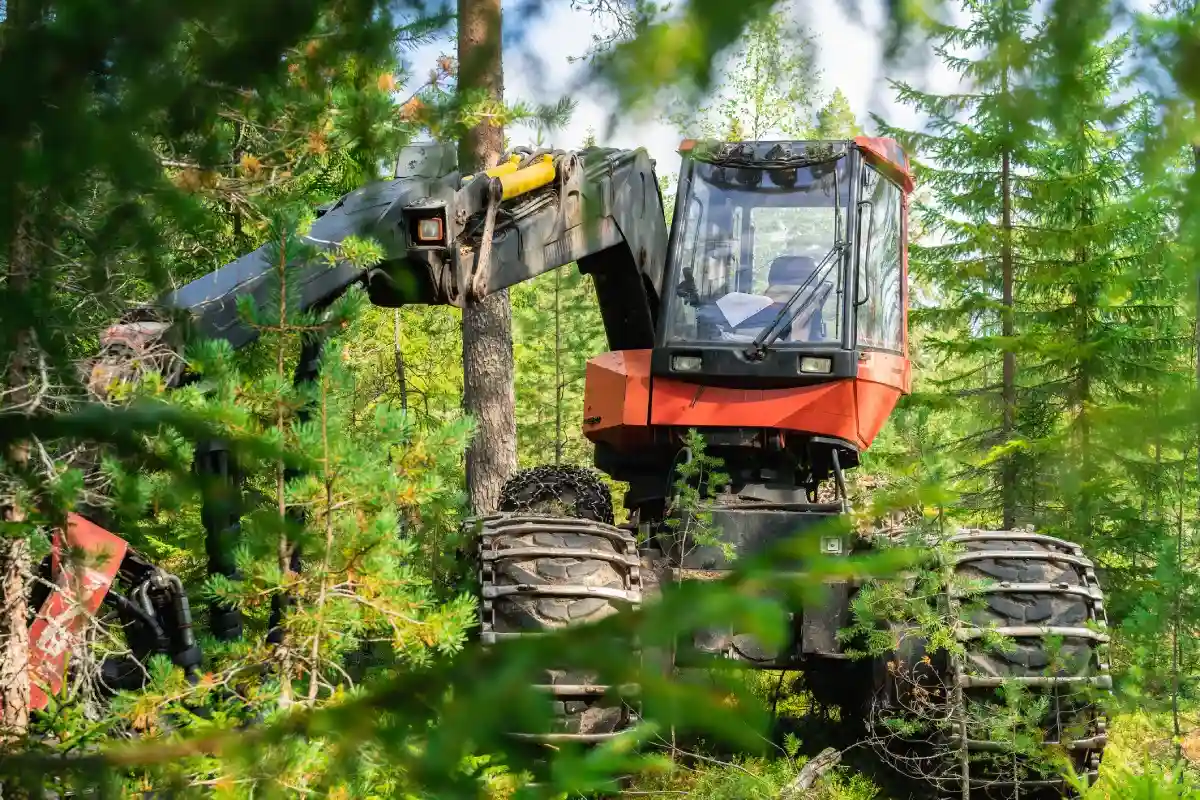 Close up of forest harvesting machine standing between trees.