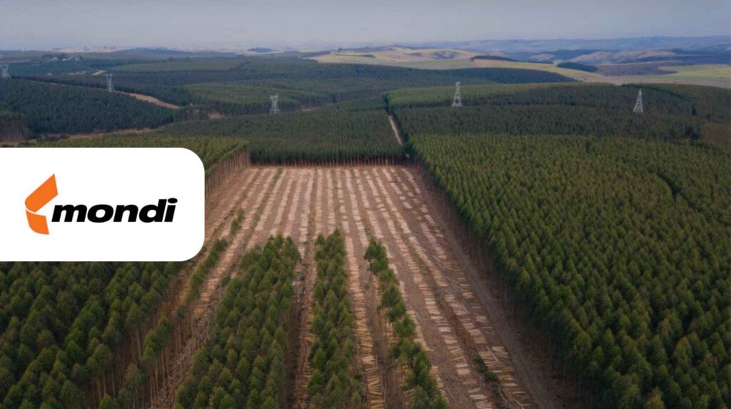 Mondi Group Customer Story