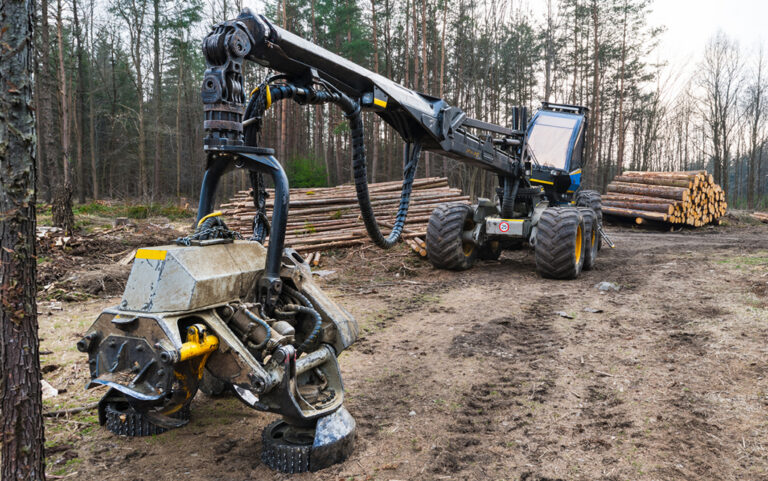 harvesting machine at harvest site in logging operation