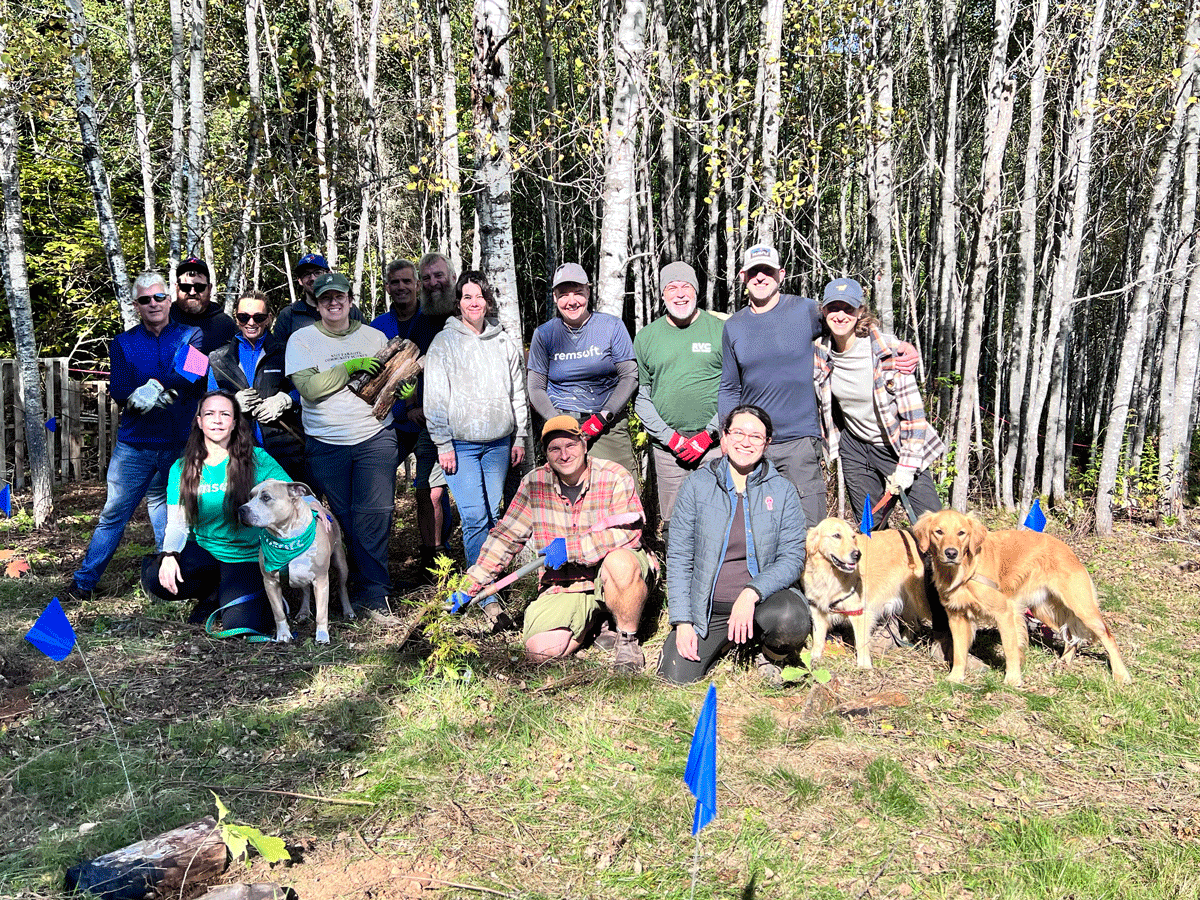 Remsoft national Forest Week 2026