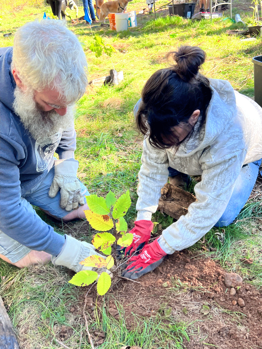 Remsoft National forest week 2026 Tree Planting