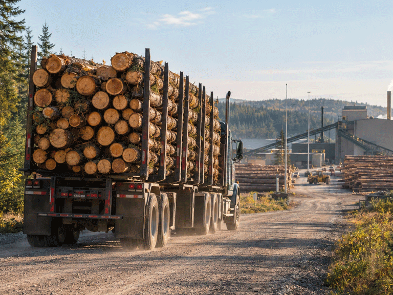 timber supply delivery