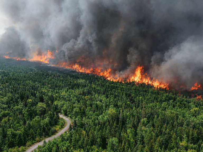 arial photo of wildfire